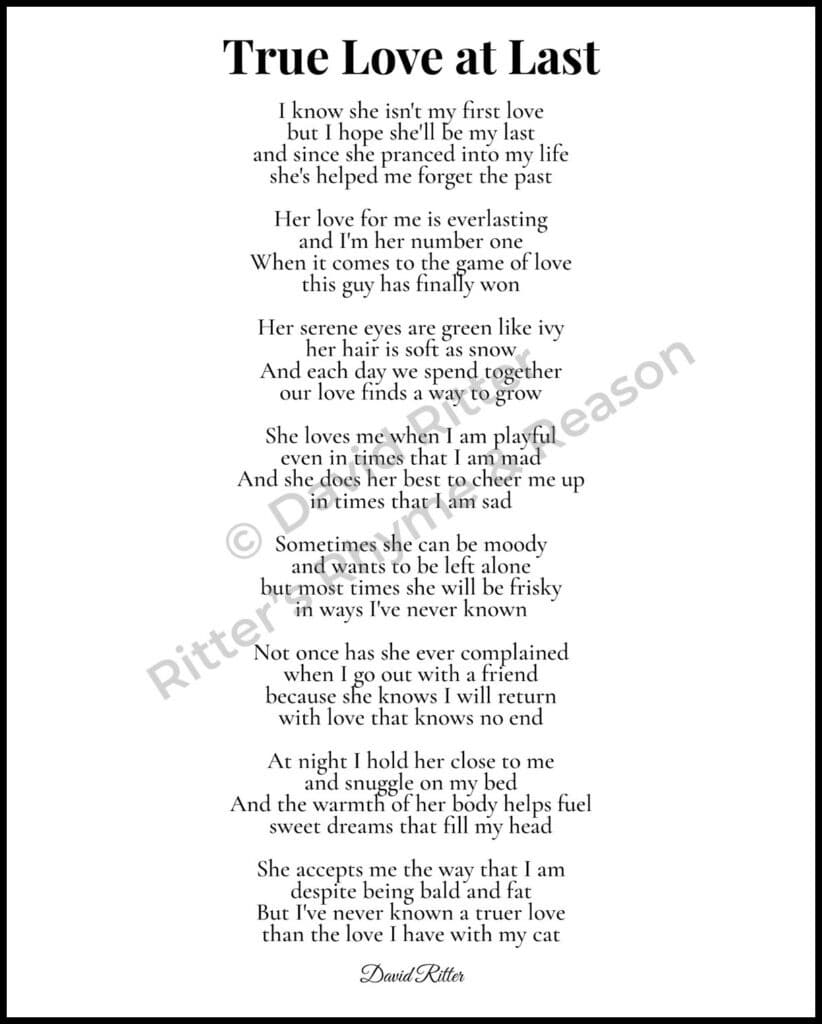 True Love at Last poem by David Ritter – a heartfelt and humorous poem celebrating love and companionship.